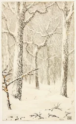 Senza titolo (Alberi nella neve)