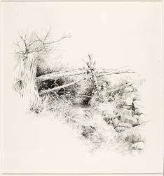 Senza titolo (Ruscello di bosco)
