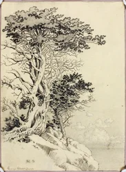 Senza titolo (disegno per la stampa)