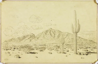 Senza titolo (disegno di trasferimento per Camelback Mountain, Phoenix)