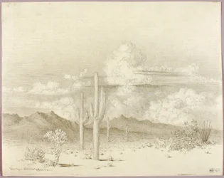 Senza titolo (disegno di trasferimento per Sera, Paradise Valley, Arizona)