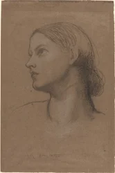 Testa di una giovane donna