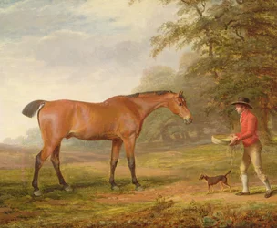 Un cavallo baio avvicinato da un garzone di scuderia con cibo e cavezza, 1789