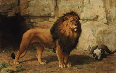 Un leone che protegge la sua tana