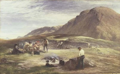 Tosatura delle pecore