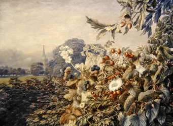 Paesaggio estivo