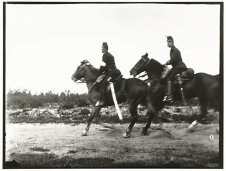 Cavalieri gialli dell