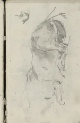 Cavallo sdraiato