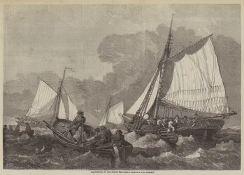 Pesca del merluzzo nel Mare del Nord