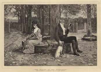 Il declino della luna di miele