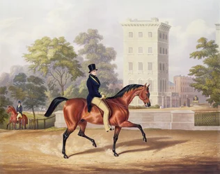 Il marchese di Anglesea a cavallo a Hyde Park, nel suo 80º anno, inciso da J. Harris, 1847