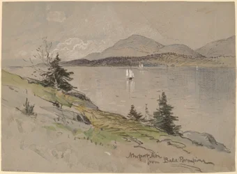 Monte Newport da Bald Porcupine