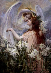 "Il messaggio dell