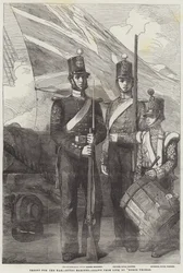 Truppe per la guerra, Royal Marines