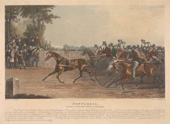 "Nonpareil" / La proprietà del signor John Dixon di Knightsbridge / Questa creatura meravigliosa, ha eseguito la partita senza precedenti, di trottare 100 miglia in imbracatura su Sunbury Common, mercoledì 27 aprile 1836...