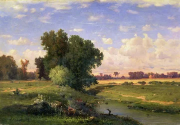 Hackensack Meadows, tramonto, 1859