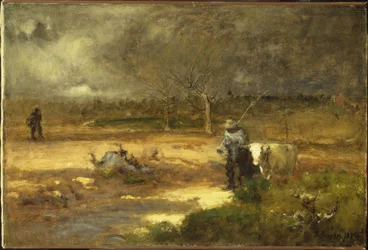 Verso casa