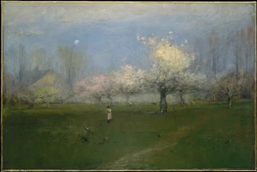 Fiori primaverili, Montclair, New Jersey