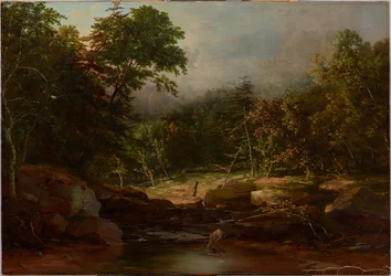 Ruscello in montagna