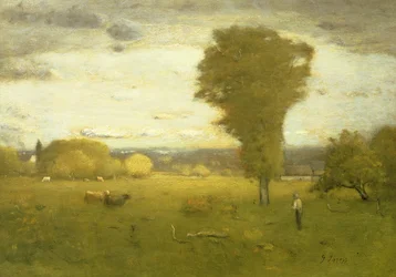 Pascolo illuminato dal sole