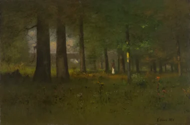 Il bordo della foresta