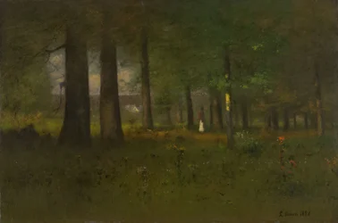 Ai margini della foresta