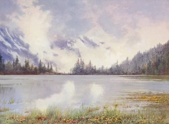 Lago Champex tra le nuvole a fine maggio; Caltha palustris e Primula farinosa sul bordo dell