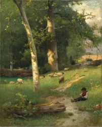 Sotto il verde bosco