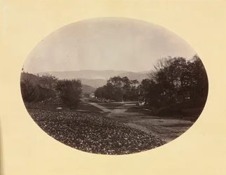 Una strada a Williamstown
