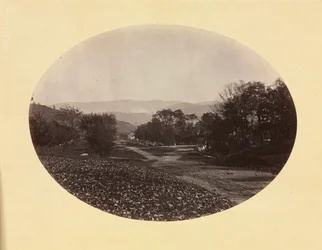Una strada a Williamstown