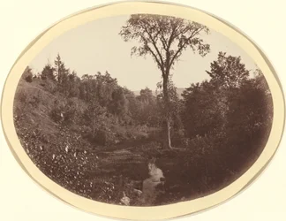 Paesaggio vicino al Williams College