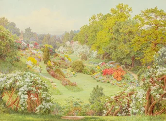 Fioriture primaverili