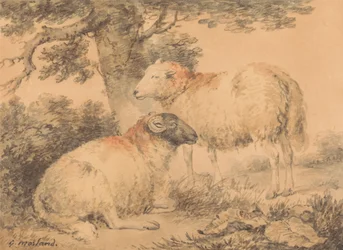 Un ariete e una pecora in un paesaggio