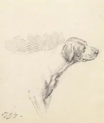 Studio di un segugio, 1794