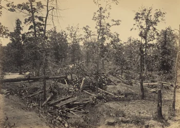 Campo di battaglia di Atlanta, Georgia, 22 luglio 1864, n. 1