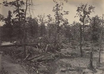 Campo di battaglia di Atlanta, Georgia, 22 luglio 1864 No. 1, 1860s