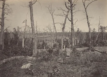 Campo di battaglia di Resacca, Georgia No. 3, 1860