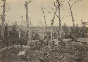 Campo di battaglia di Resaca, Georgia, n. 3.1864 (foto)