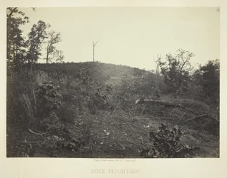 Montagna dei pini