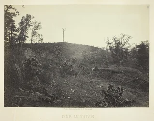 Monte Pine, 1866
