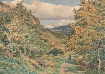 Una strada vicino a Bettws-y-Coed