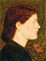 Studio di Ellen Smith, testa e spalle