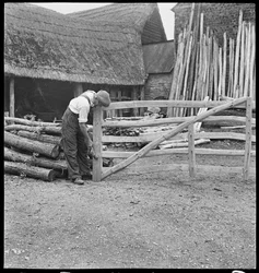 Un uomo che costruisce un cancello nel villaggio di Aston, 1930-50 (foto)