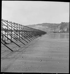 La spiaggia di Shanklin lungo una lunga linea di impalcature dell