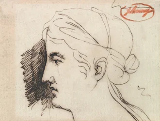 Testa di donna