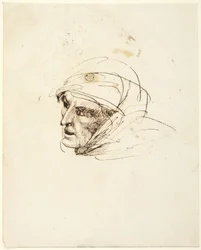 Testa di donna