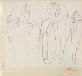 Studi sui cavalli