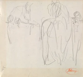 Studi sui cavalli