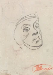 Studio di una testa