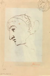 Testa di donna di profilo